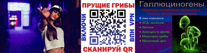 Купить где  Курганинск  Галлюциногенные грибы GOLDEN TEACHER 